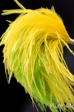 Plumet autruche avec anneau - ht 22-28 cm - jaune-lime